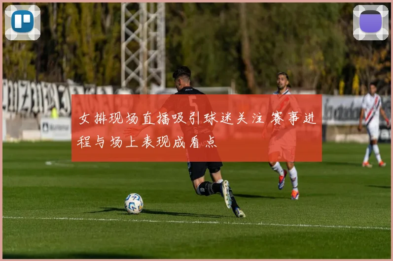 女排现场直播吸引球迷关注 赛事进程与场上表现成看点