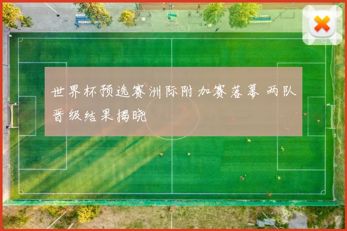 世界杯预选赛洲际附加赛落幕 两队晋级结果揭晓