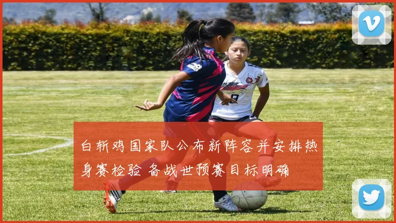 白斩鸡国家队公布新阵容并安排热身赛检验 备战世预赛目标明确