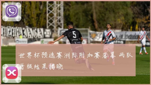 世界杯预选赛洲际附加赛落幕 两队晋级结果揭晓