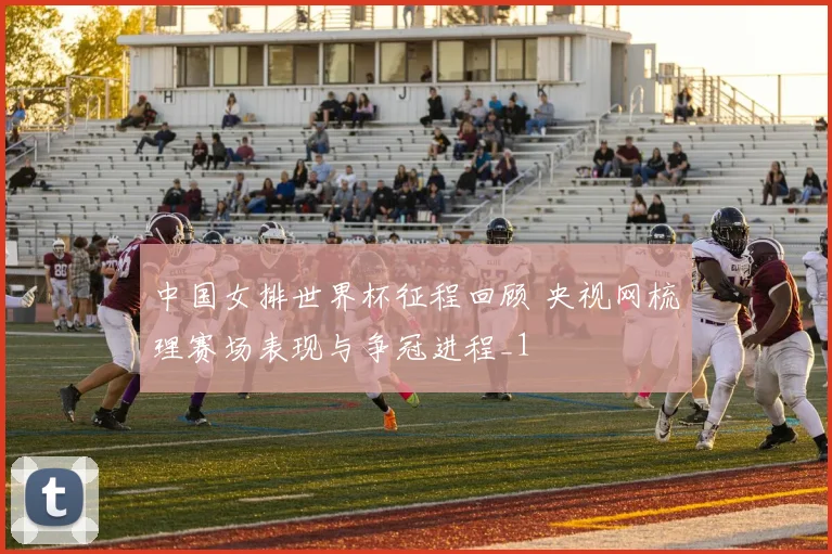 中国女排世界杯征程回顾 央视网梳理赛场表现与争冠进程_1