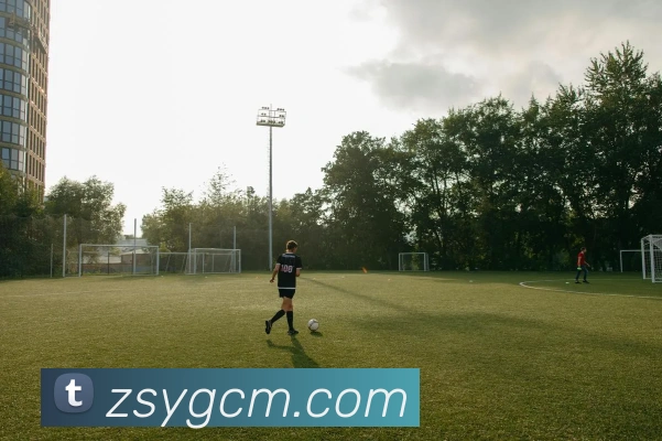 hth体育官网平台生态图